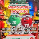 라스베이거스 M&amp;M 월드 후기｜영업시간·입장료·기념품 쇼핑 총정리