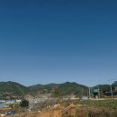 돌산커피 네이버블로그