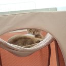 그루밍 시옷 이미지