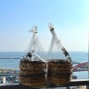 (합)부자관광 | 속초 디저트 이부자마약곳간 곡물강정 속초중앙시장 맛집