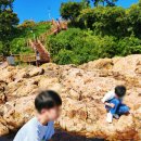 (주)소노인터내셔널 여수지점 | 가을 통영 거제 3박4일 여행기 숙소, 맛집, 관광, 예산 몰아보기