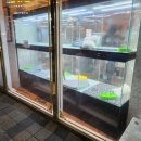 도그마루 강아지고양이 목동점 이미지