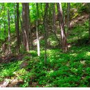 구봉팔문 이미지