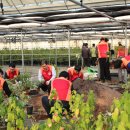 행복한 농원 이미지