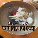 별미칡냉면 | [내돈내산]용인 처인구 별미칡냉면 방문 후기