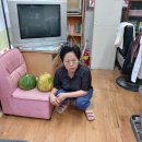 선산이용소 이미지