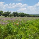 영천강변체육공원주차장 이미지