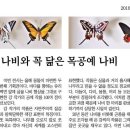 나비야놀자 이미지