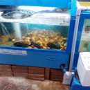 남도횟집 이미지