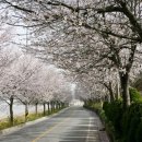 군도9호 이미지