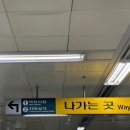 안면상회 | 대전 중앙시장 먹거리부터 정육점 추천, 김추일 햄버거 솔직한 후기