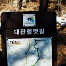 강원관광대우1 이미지