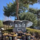 안드레아의 집 | 당진 당일치기 여행 코스 솔뫼성지 | 성지순례 코스 성 김대건 안드레아 신부의 탄생지 | 미사시간 안내