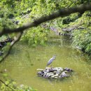 절물자연휴양림 이미지