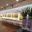 해바라기태양광 이미지