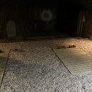 고양스파24시불한증막사우나 이미지