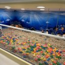 팡팡게임존 | 안산 키즈카페 추천 정글팡팡 솔직후기 (+댄스파티, 이벤트)