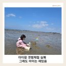 갯벌 | 아이랑 태안 갯벌체험 후기｜청포대 해루질 실패 이유 (왜 못 잡았을까)