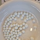 센트럴 동물메디컬센터 이미지