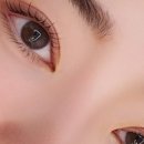 비비아트집 이미지