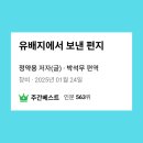 윤종문 | 너무 많은 말과, 너무 적은 책임을 지는 정치인이 만연한 세상! 이 시대 진정한 다산은 있는가?