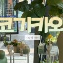 퍼피엔젤 반려동물 미용실 이미지