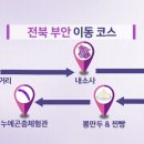 건강한뽕잎왕만두 이미지