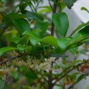 종달초등학교 이미지