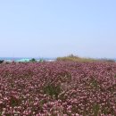 블랑 게스트하우스 이미지