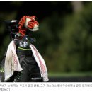 에이펙스컨설팅 이미지