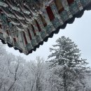 씨유양재은행점 | [여행자클럽_덕유산]여행자클럽 (강풍으로 백련사)_주말데이트추천