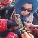 2025.2.24~25 문화체육부주관 (충북야생동물구조관리센타.산림과학박물관) 이미지