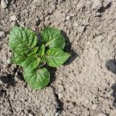 행석농장 이미지