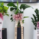 승보약국 이미지