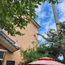 포코포코(POCO POCO) 이미지