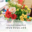 영남화훼농협 | e경남몰 경상남도 쇼핑몰 영남화훼원예농협 가성비꽃 의령농원 유정란