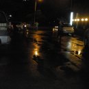 진성장어 이미지