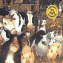 2007-주012 이미지