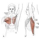 더블유스포츠토탈클리닉 이미지