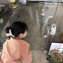아주르랩2022 이미지