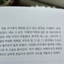 원석음반 이미지