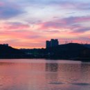 하트펫 동물병원 이미지