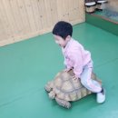 서해유치원 이미지