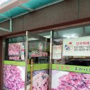 사돈네닭강정 이미지