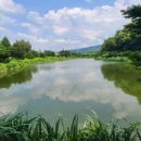 연못 속 풍경 이미지