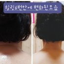 쌍용아파트후문맞은편 이미지