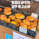 빵또와베이커리 | 제주 [월정리 담또와] - 베이커리 맛집 🤎 소금빵/양파크림빵 추천🤎