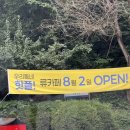 대야미역 | [군포 류카페] 대야미역 근처 신상 감성 카페 후기