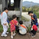 늘푸른어린이집 이미지