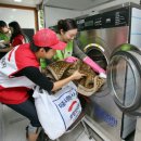 현대세탁 이미지